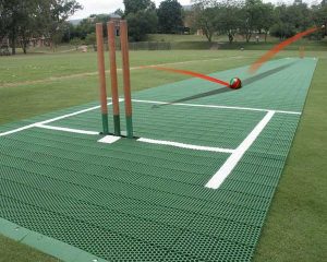 cricket