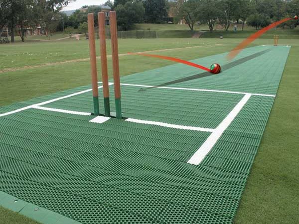 cricket