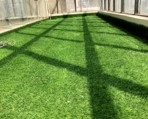 Artificial Grass