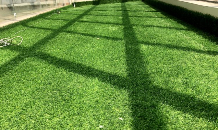 Artificial Grass